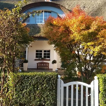 Wellness 12 公寓 青斯特