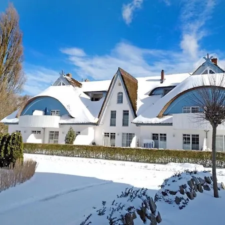 Wellness 12 青斯特