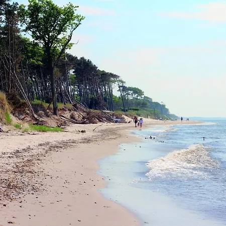 Wellness 12 * 青斯特