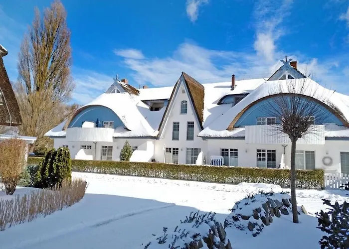 Wellness 12 זינקסט