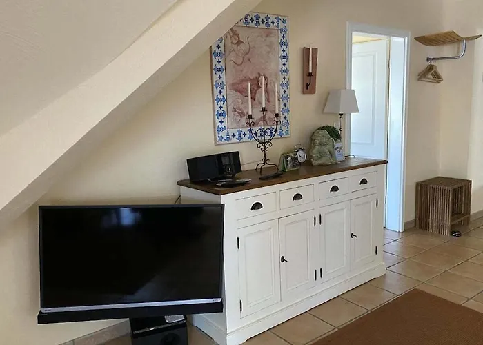 Wellness 12 * זינקסט