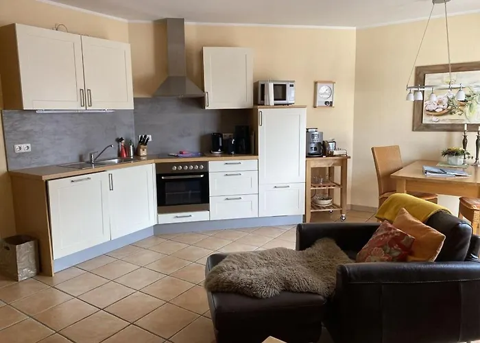 Wellness 12 זינקסט