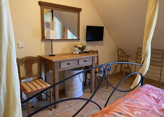 Wellness 12 זינקסט