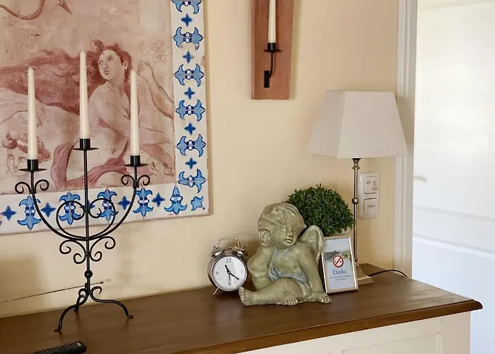 Wellness 12 * זינקסט