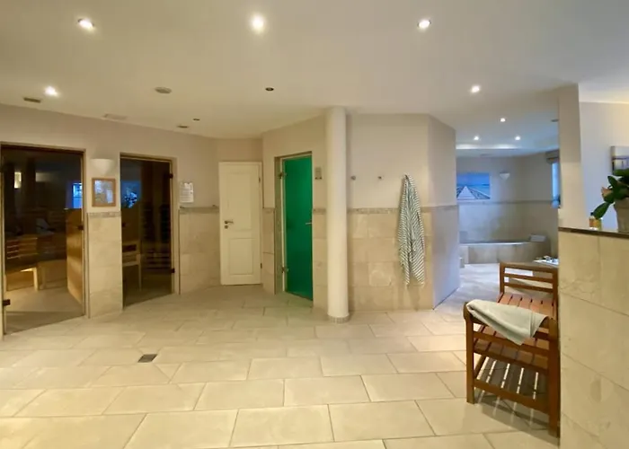 Wellness 12 זינקסט