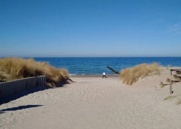 Wellness 12 * זינקסט