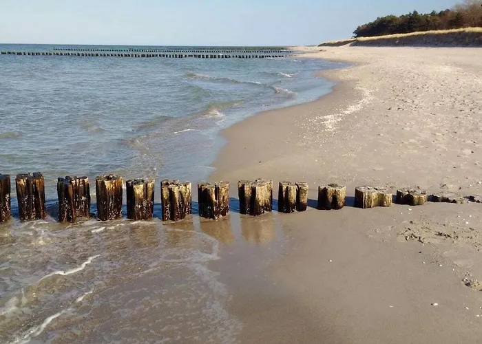 Wellness 12 דירה זינקסט