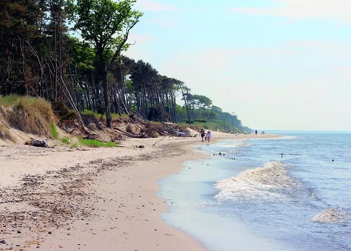 Wellness 12 * זינקסט