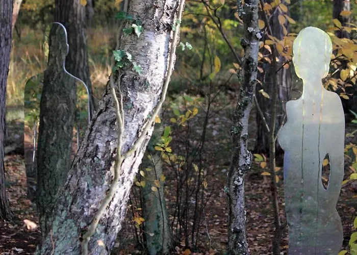 Wellness 12 * זינקסט